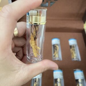 Mỗi hộp nhỏ gồm 3 con trùng