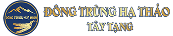 Đông trùng hạ thảo Tây Tạng