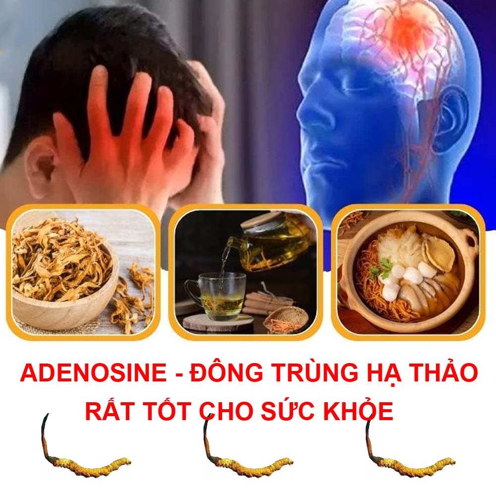 Adenosine có tác dụng rất tốt cho sức khỏe Adenosine có tác dụng rất tốt cho sức khỏe