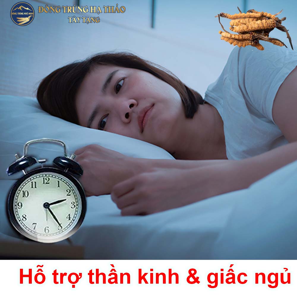 Đông trùng hạ thảo hỗ trợ bệnh thần kinh và ngủ ngon hơn Đông trùng hạ thảo hỗ trợ bệnh thần kinh và ngủ ngon hơn