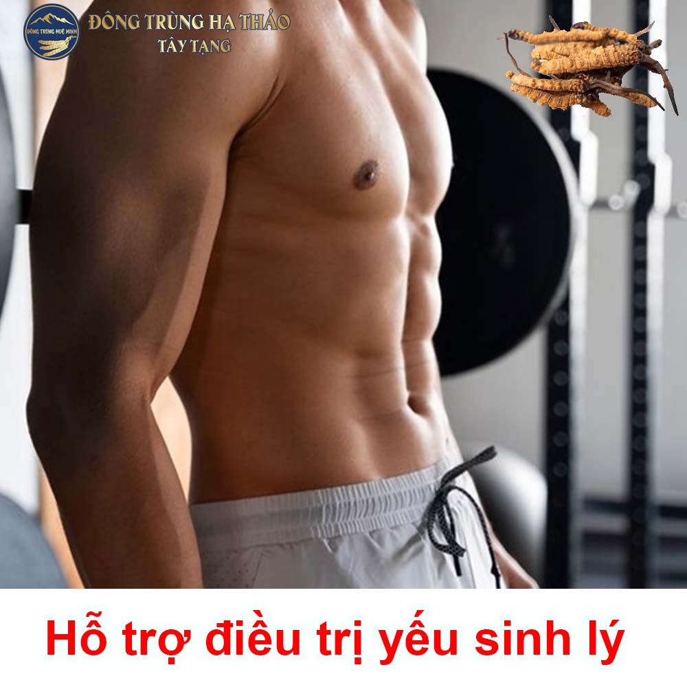 Đông trùng hạ thảo hỗ trợ tăng cường sinh lý Đông trùng hạ thảo hỗ trợ tăng cường sinh lý